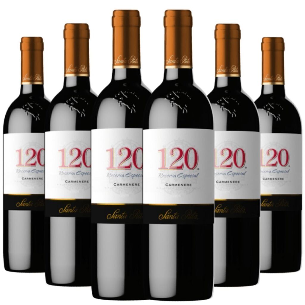 Vinho Tinto Chileno 120 Reserva Especial Carmenere 750ml - Cx 6